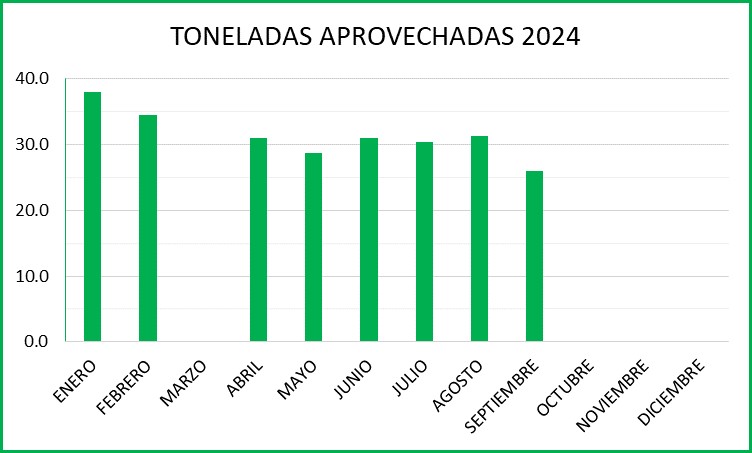 DINC 2020-I.JPG